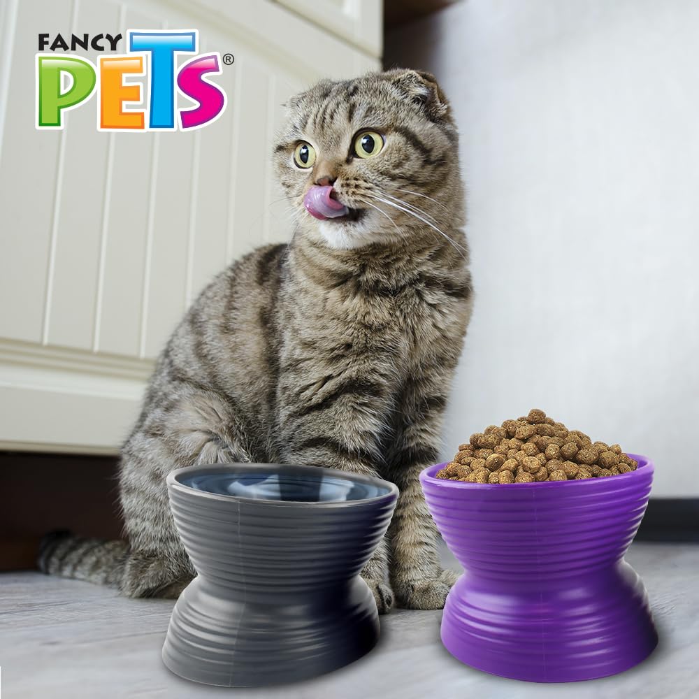 Fancy Pets Set de 2 Platos para Gatos Inclinados y Elevados para Agua y Comida