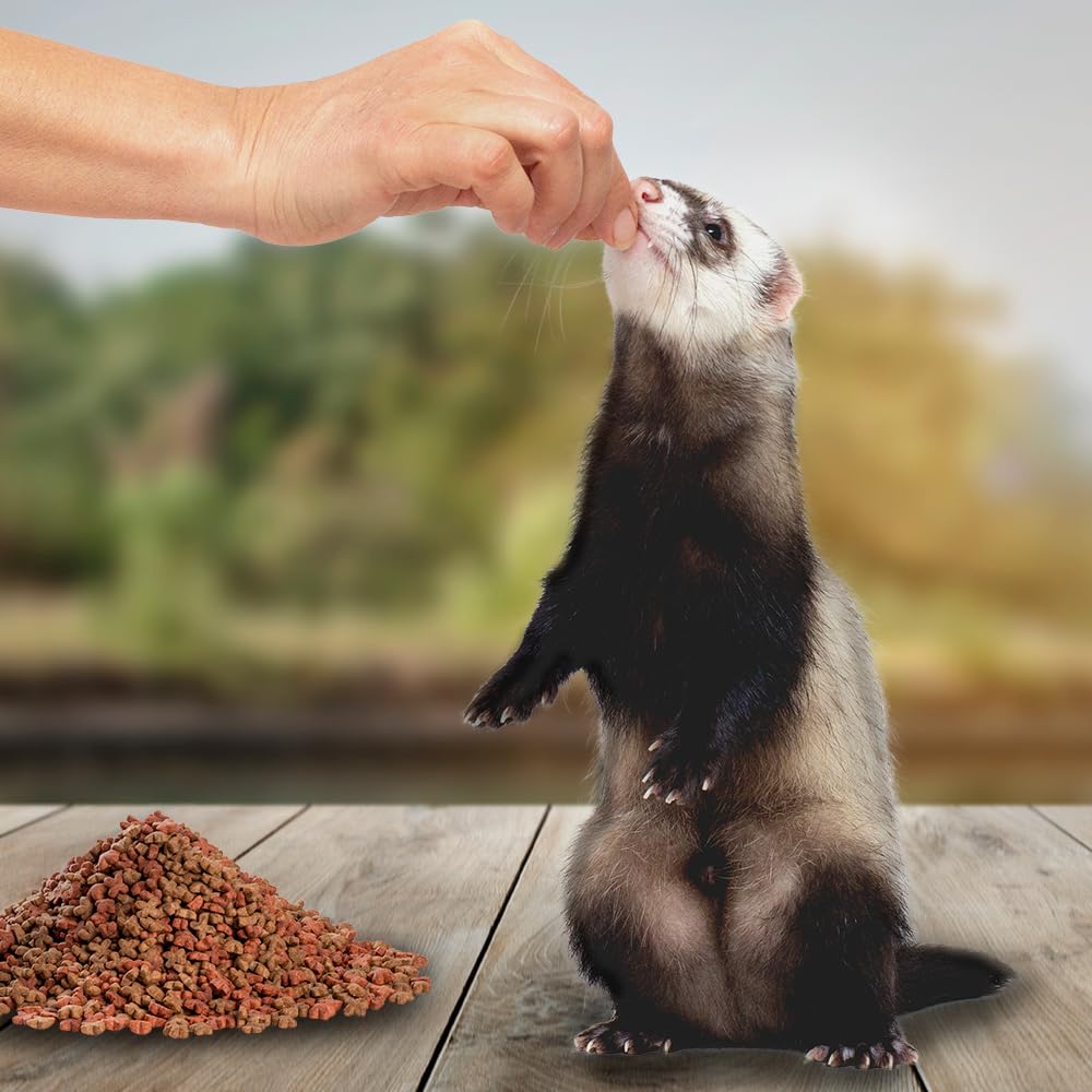 ALIMENTO HURON / FERRET DIET 1 KG