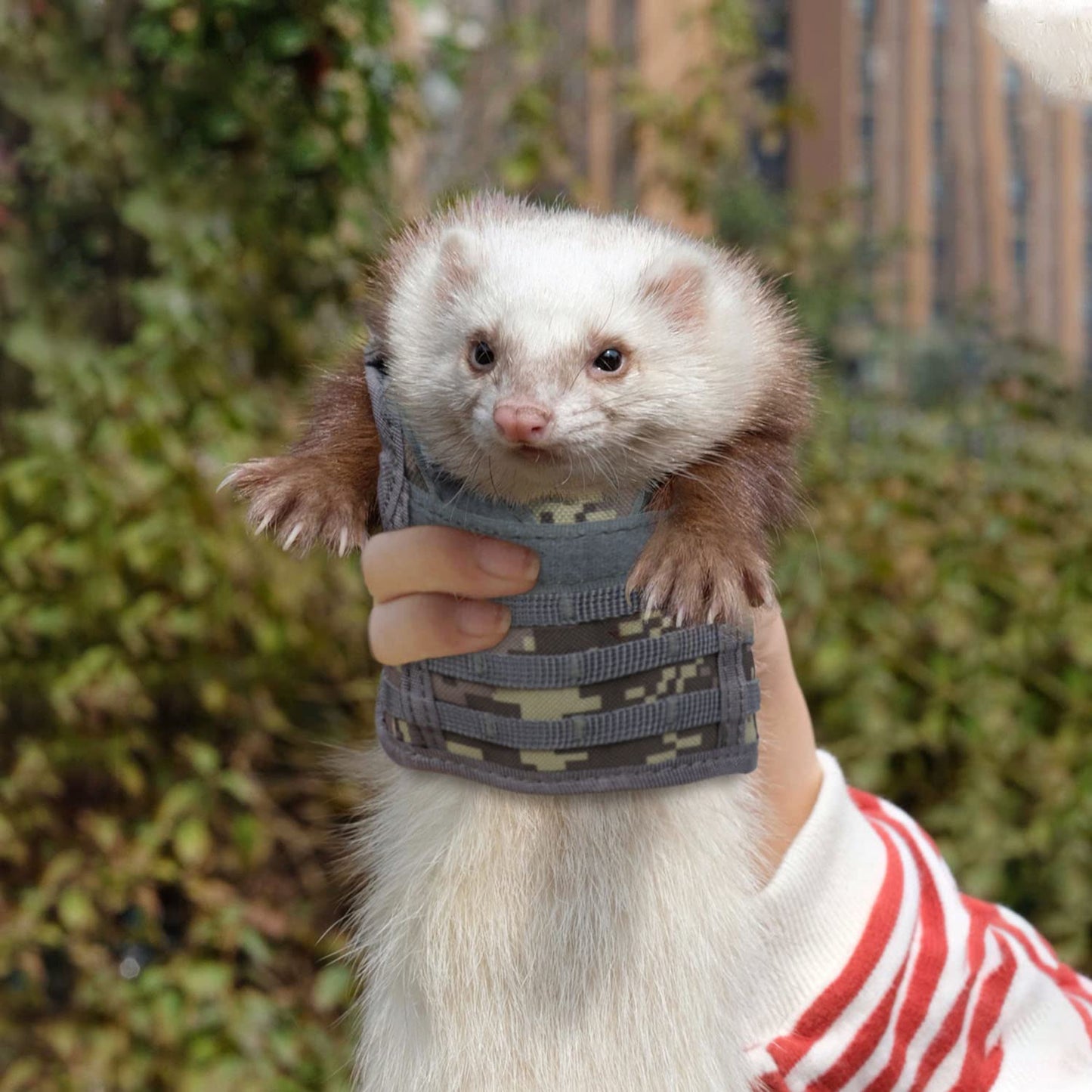 Ferrets - Arnés y correa del ejército para animales pequeños, conejito de indias, gatito, cachorro, hurón, accesorios de ropa