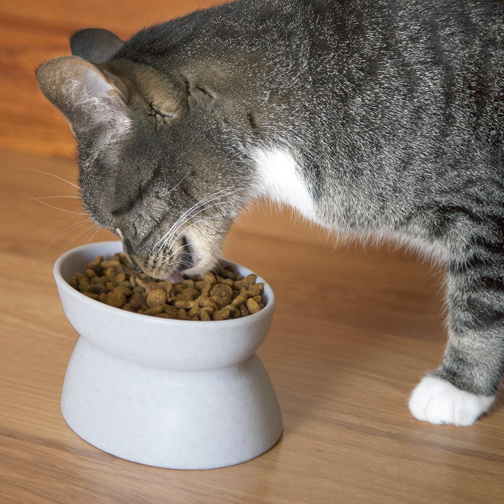 Kitty City Recipiente Elevado para Comida para Gatos, comedero y regador para Mascotas sin estrés