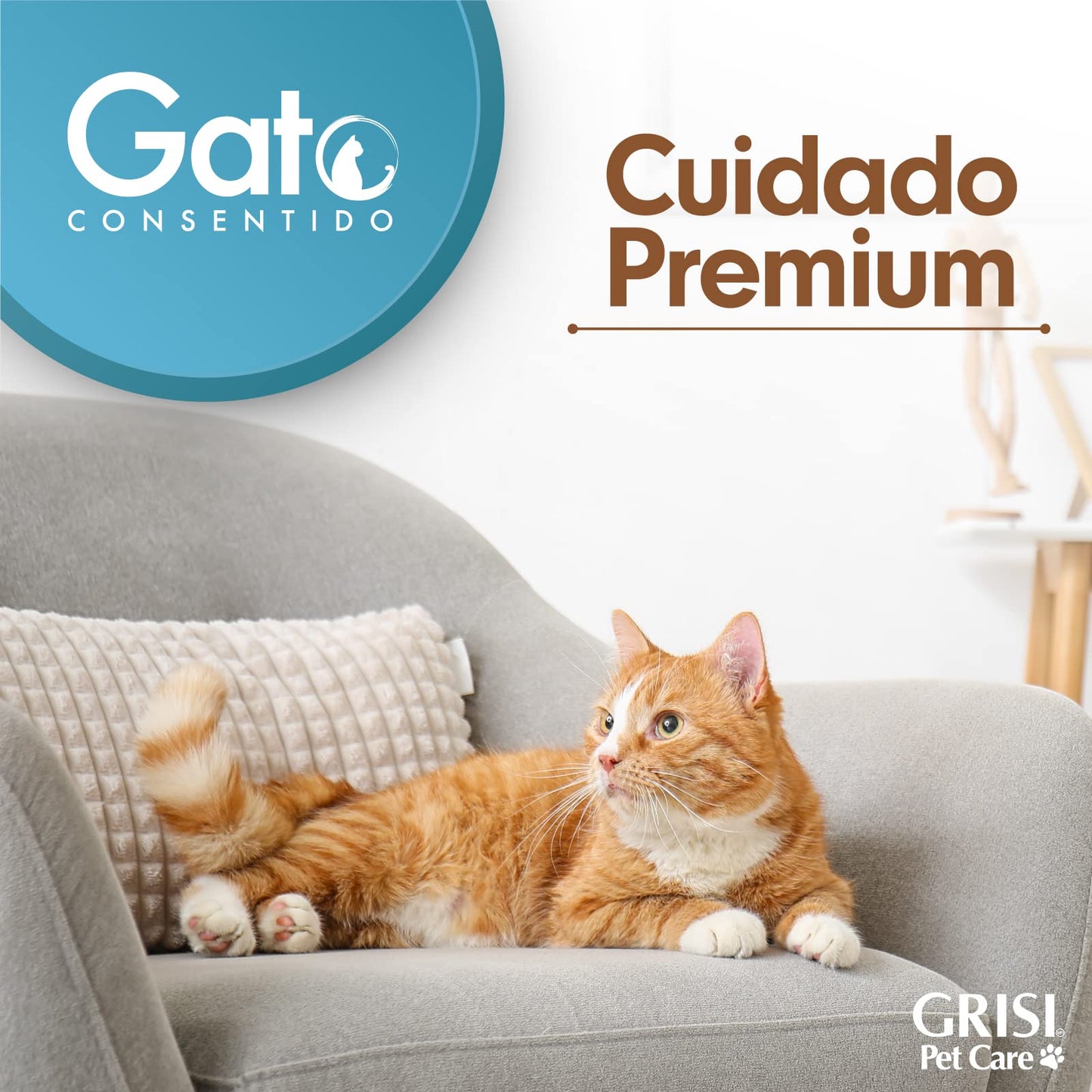 Gato Consentido - Foam de Limpieza en Seco, Shampoo en Seco para Gatos, Ideal para Mantener la Higiene de tu Mascota, 150 ml